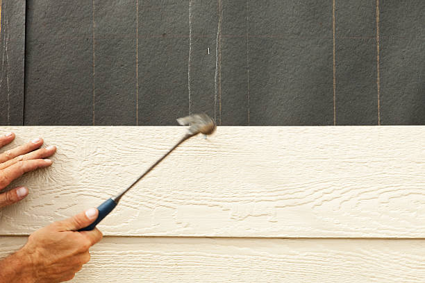 Best Stucco Siding  in White Hall, IL